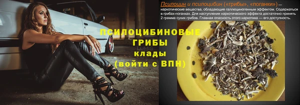 Альфа ПВП Беломорск
