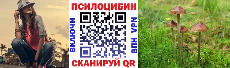 Галлюциногенные грибы Psilocybe  Реутов 