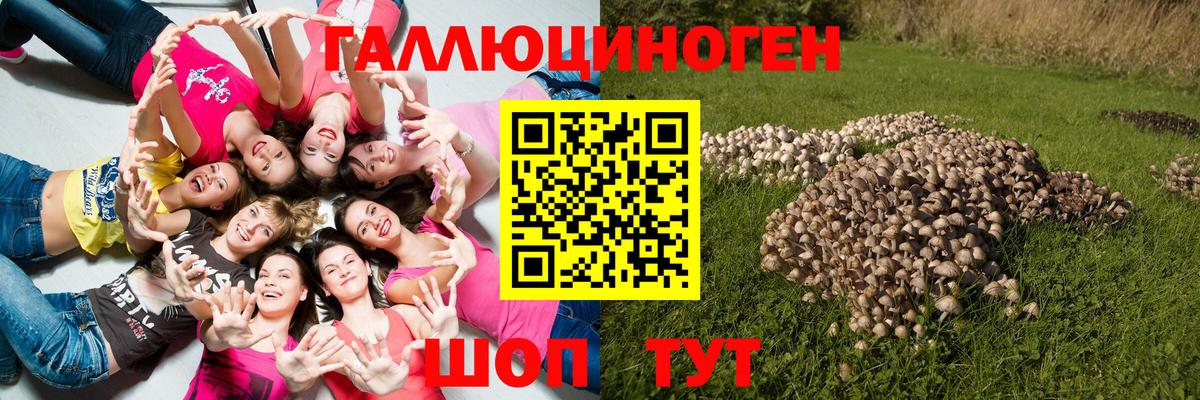 Галлюциногенные грибы прущие грибы Реутов