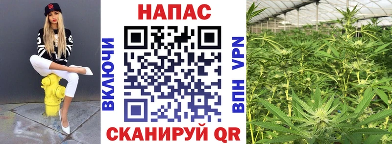 продажа наркотиков  нарко площадка клад  Бошки марихуана конопля  Реутов 