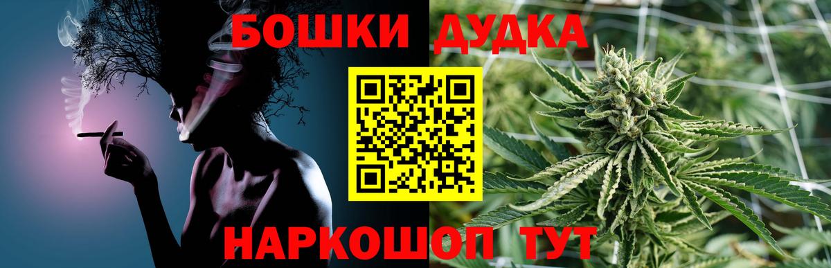 Каннабис OG Kush Реутов
